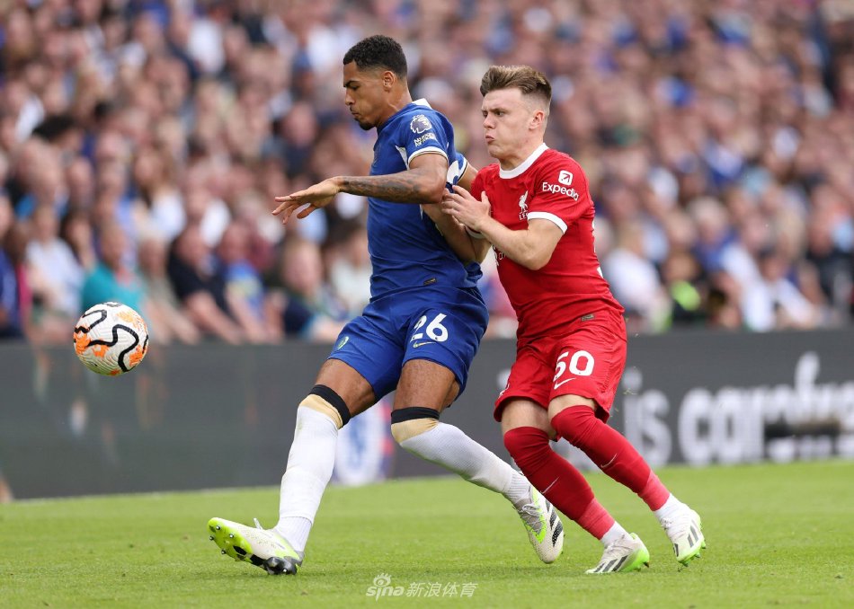 在引援策略 在引援策略